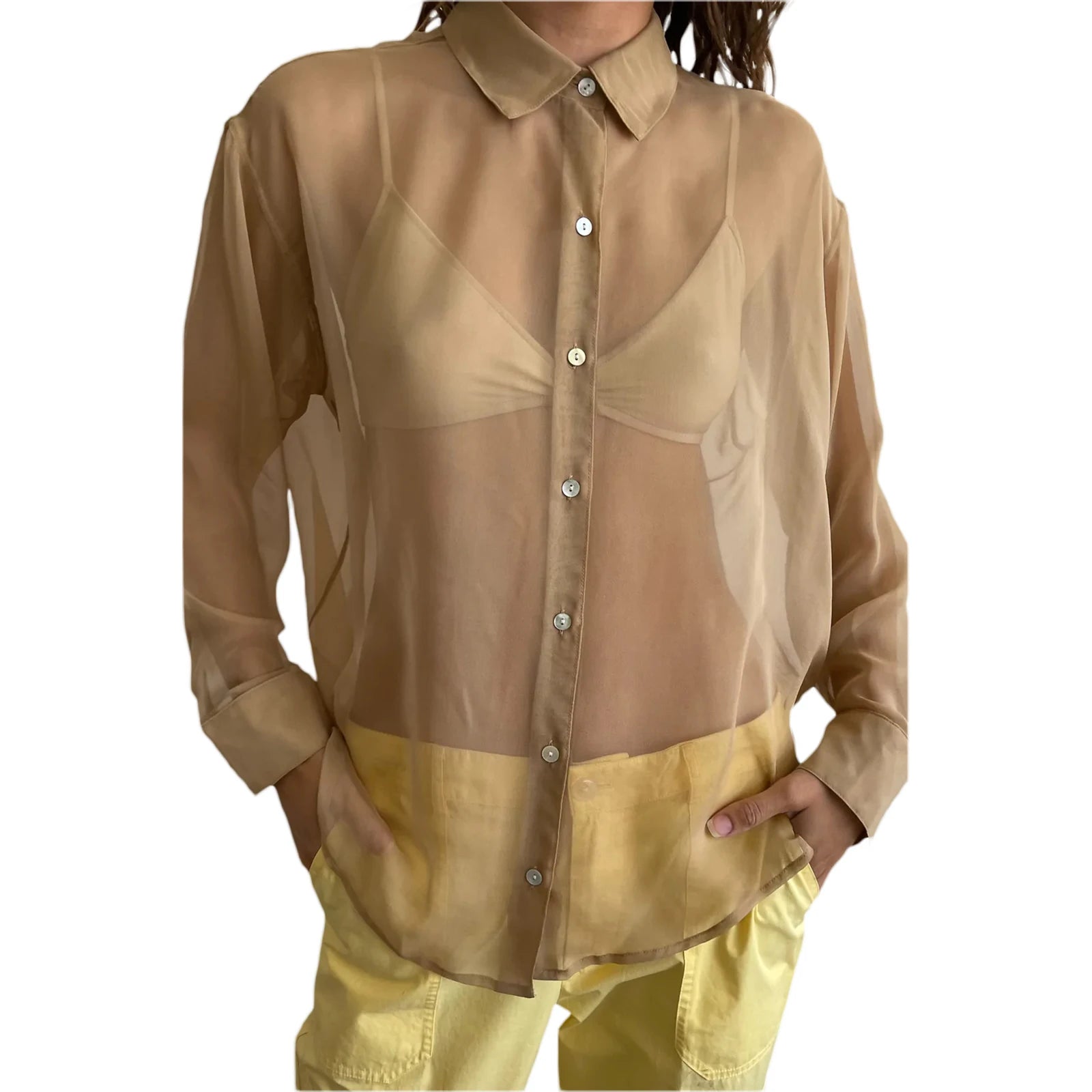 Chiffon Shear Long Sleeve Shirt Top