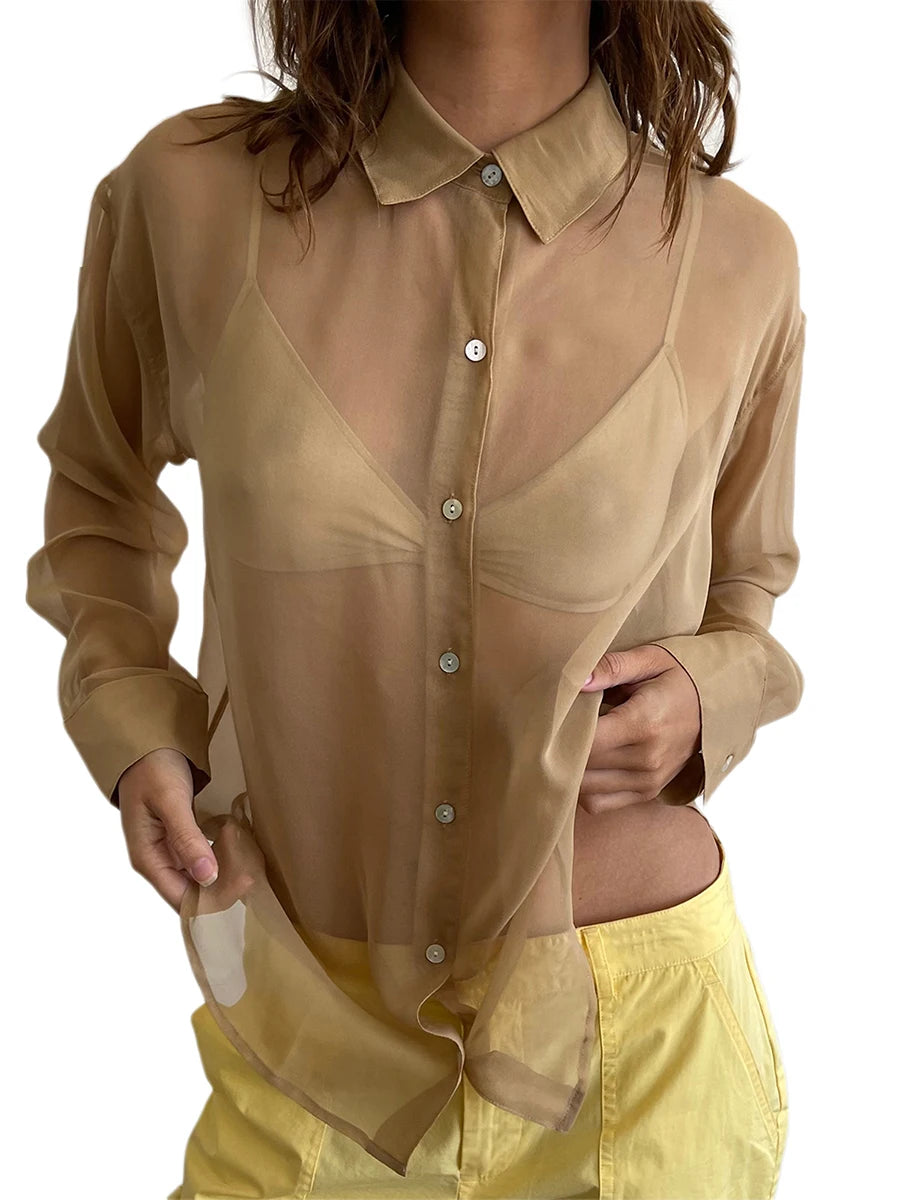Chiffon Shear Long Sleeve Shirt Top