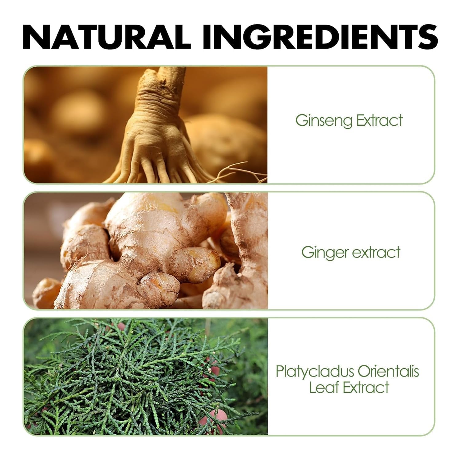 Natural Plant Extract for Grey Hair Color Bubble Shampoo, Women and Man. Non-Damage Black Hair Dye (Black)